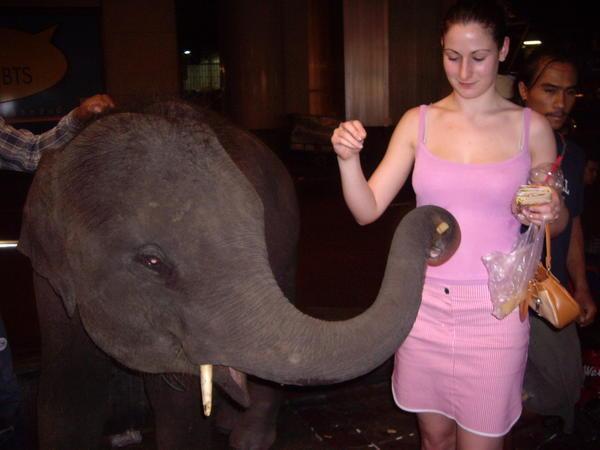 Kamer and the elephant