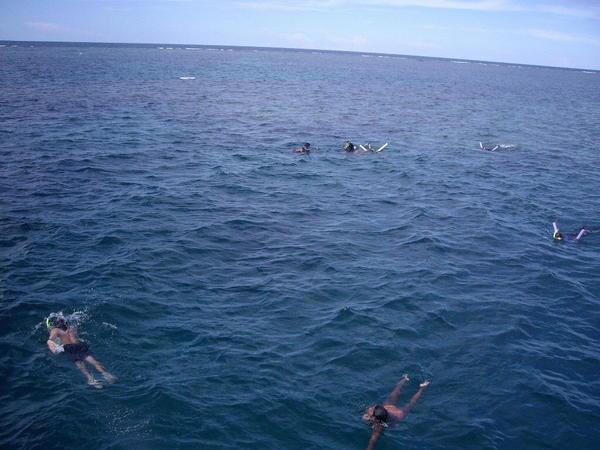 Snorkling on the Great Barrier