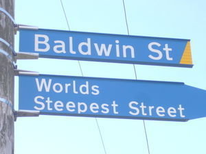 Baldwin St - Worlds Steepest Hill