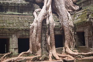 Siem Reap - Angkor Wat Temples