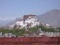 Potala Palace from our rooftop