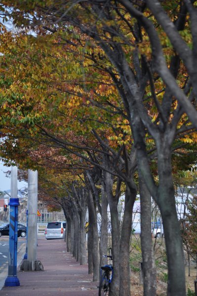Autumn in Gyeongju