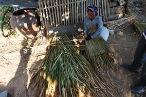 Weaving straw rooves for the homes