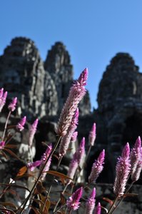 Bayon: Towers and Flowers