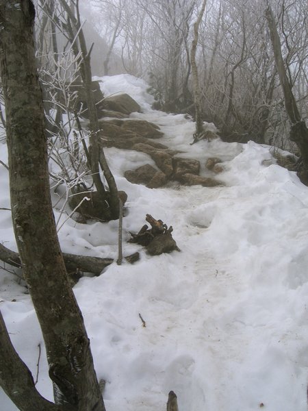 Snowy/icy trail