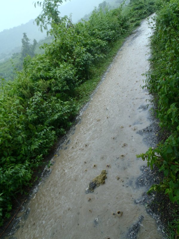 Within minutes of the rain, our trail is washed out