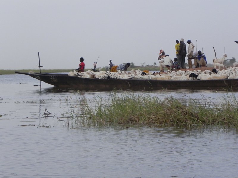 Scene on the Niger River along the way.