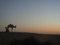 Sunset Festival of the Desert