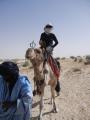Sunday morning camel ride.