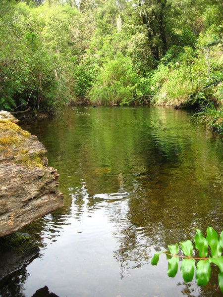 Swimming Hole at Kakaho Campsite