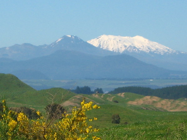 On the Last Leg into Taupo, and there's a Glimpse of Ruapehu.