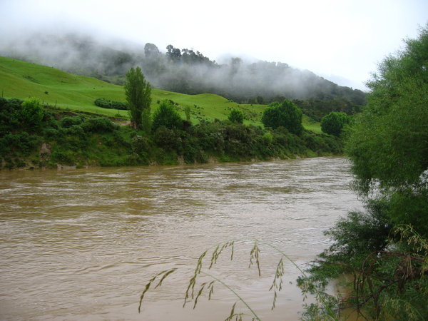 Whanganui River - Early Morning