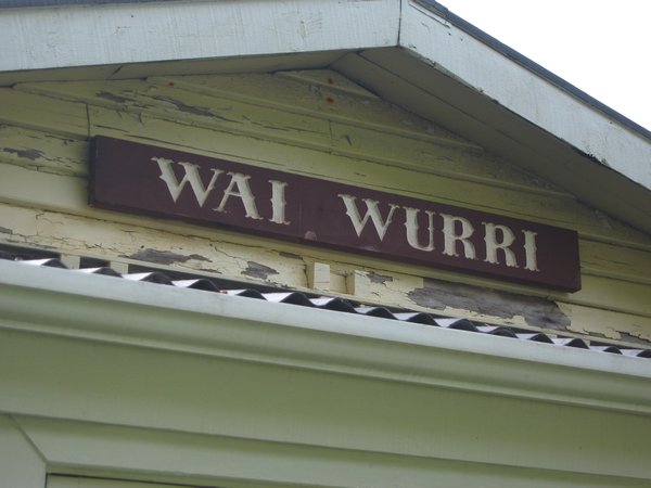 Wai Wurri