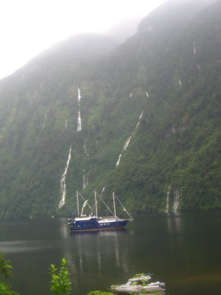 At Deep Cove, Doubtful Sound