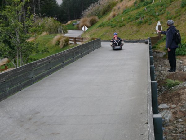 Riding Down on the Luge