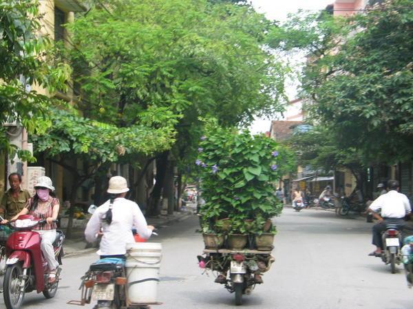 through the streets of Hanoi
