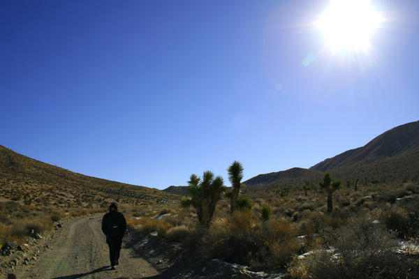 Marche dans Death Valley