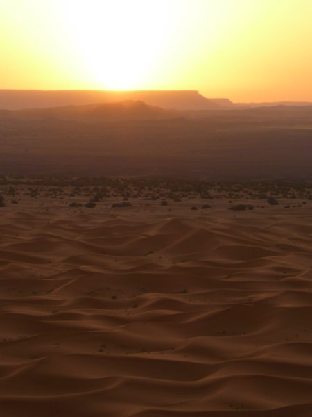 Sahara  Sunrise
