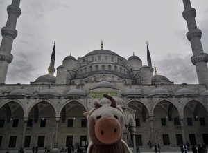 What a Big Mosque!