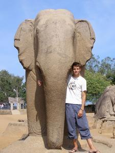 Dumbo & An Elephant