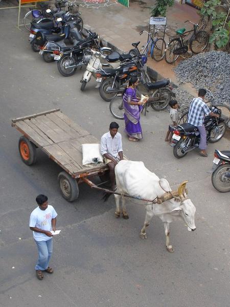 Cow & Cart