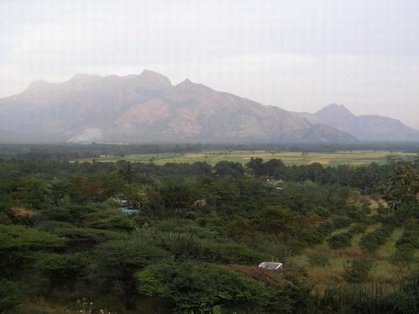 View Over The Tamil Plains From The Western Ghats