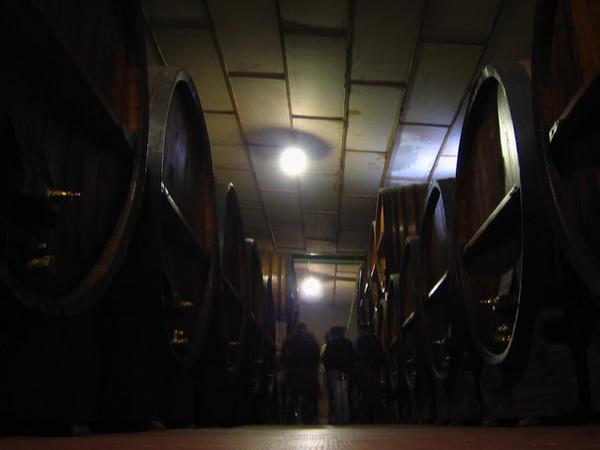 Down in the Cellar