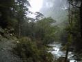 Routeburn Track - Above The Routeburn Gorge