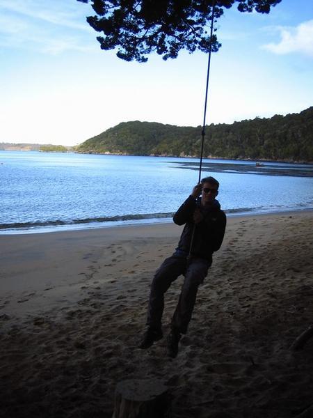 Ulva Island: Swinging In Sydney Cove