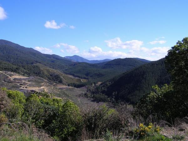 The Rai Valley
