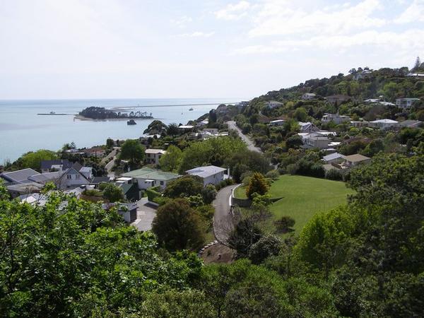 Nelson Lookout