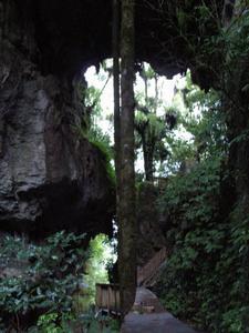 Mangapohue Natural Bridge Cave