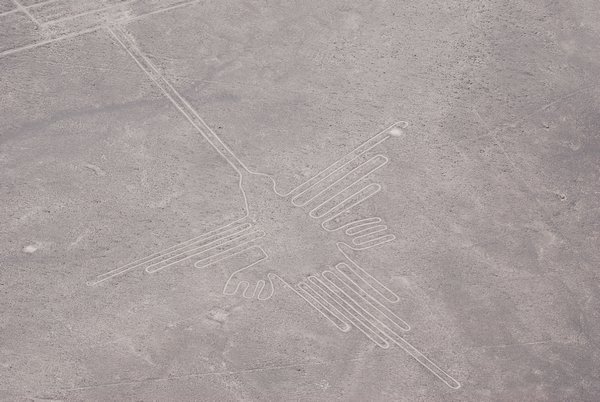 The Colibry - Nazca lines