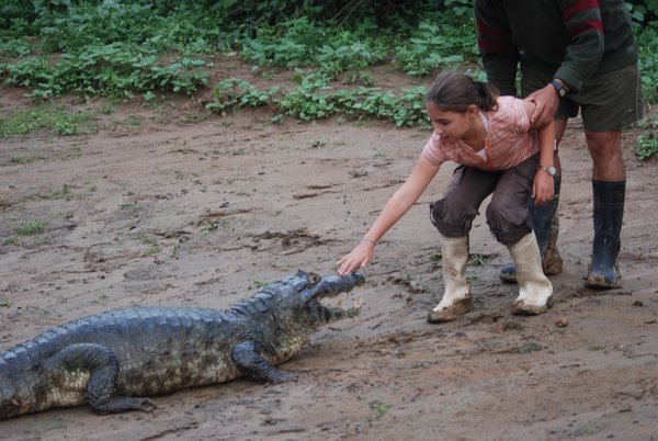 Petting a croc