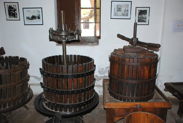 The wine museum