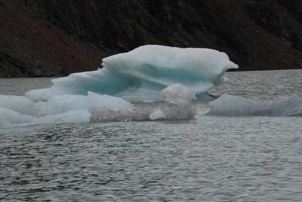 Floating mini glaciers on Laguna Torres