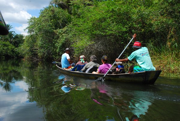 Rowing in a canoe, in Marimbus