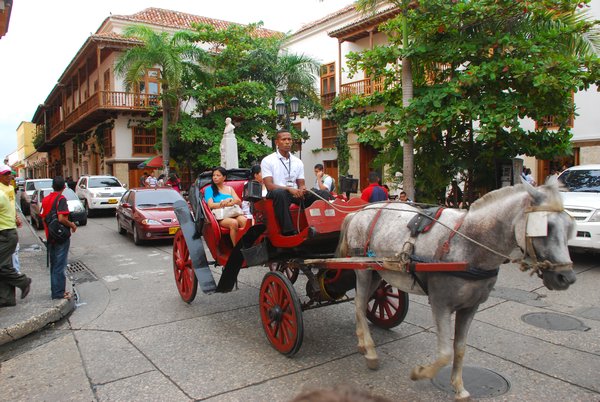 Horse and Carriage - Cartagena Old City