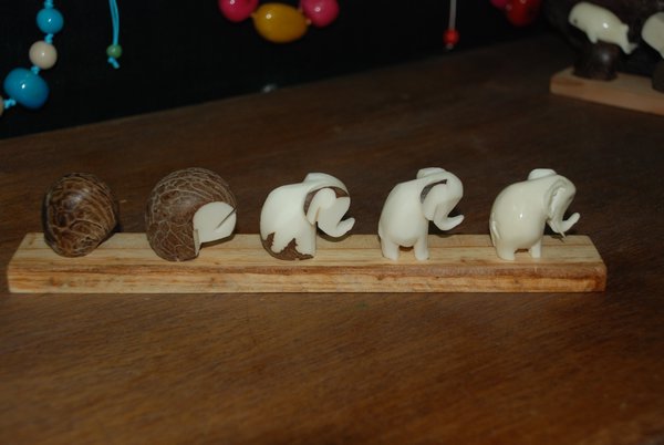 From Tagua seed to an ivory elephant