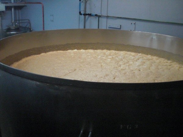 Vat of fermenting beer