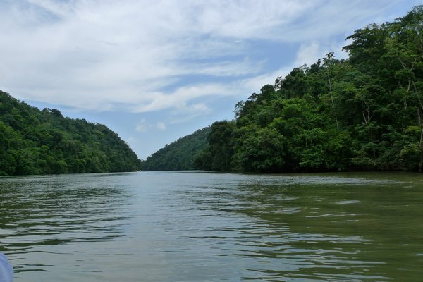 Rio Dulce and the surrounding jungle