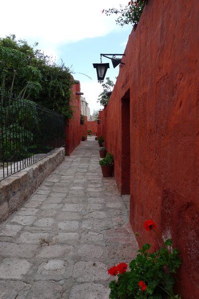 La Calle Burgos
