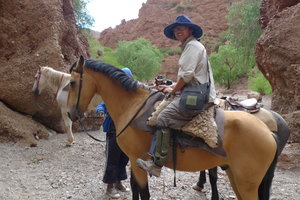 Eva on horseback