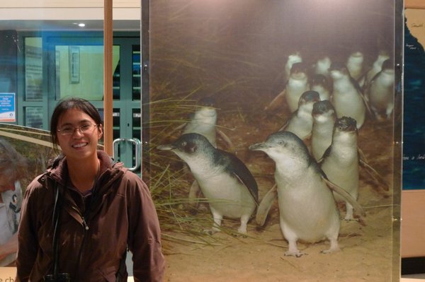 At the penguin center