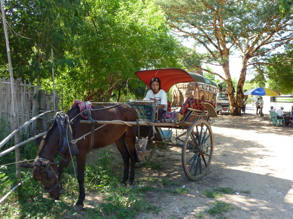 My horse, cart and driver