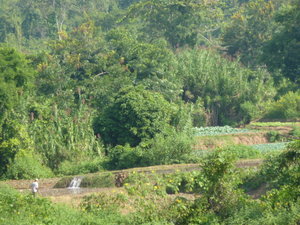 Lush Hsipw countryside