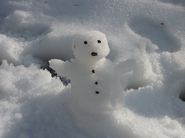 Our snowman!