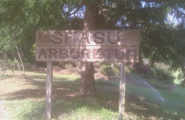 SFASU Arboretum