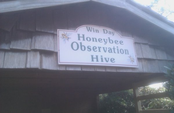 Honey Bee Observation Hive