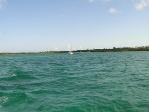 Bahamas Abaco 051